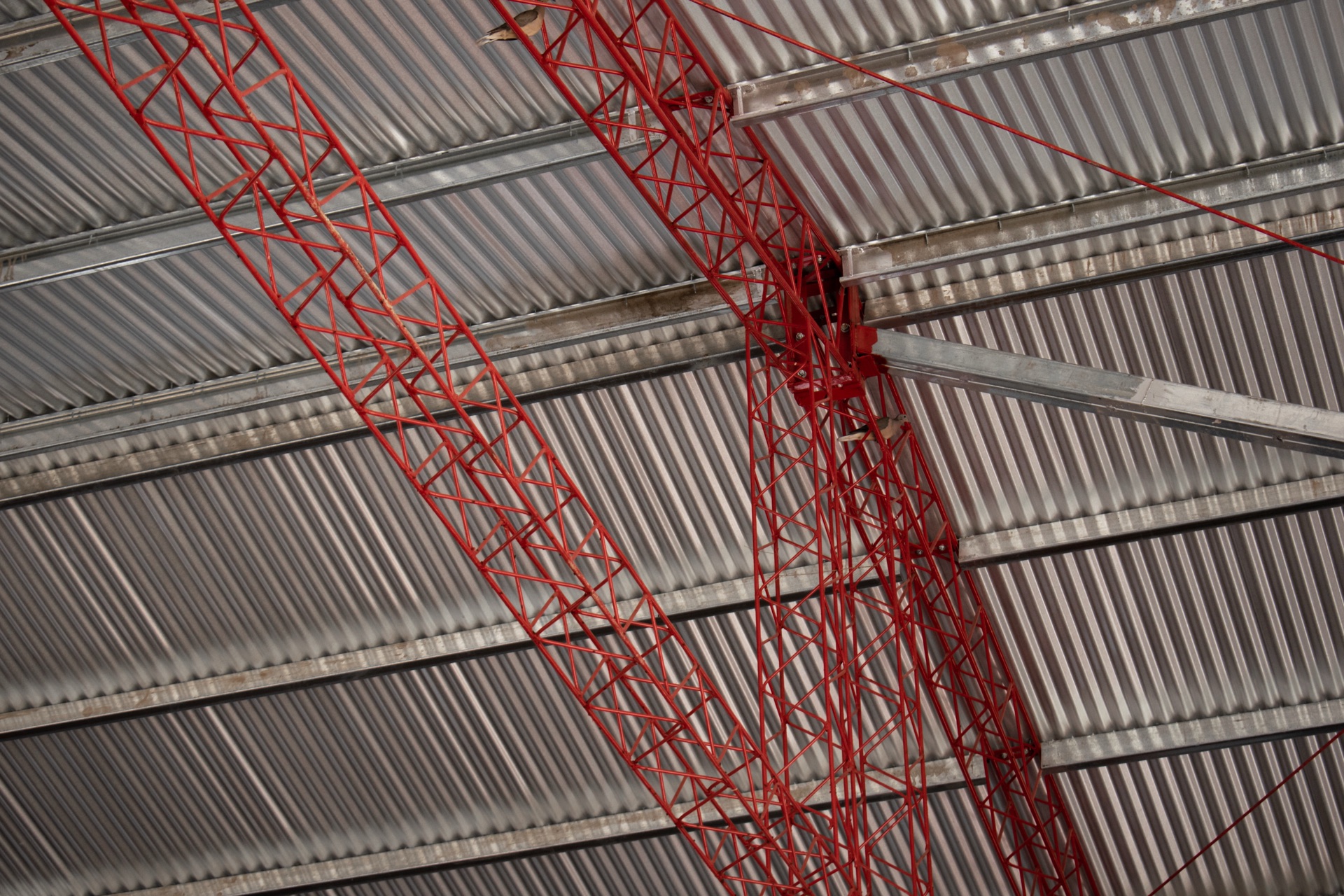 Bauducco — 6
